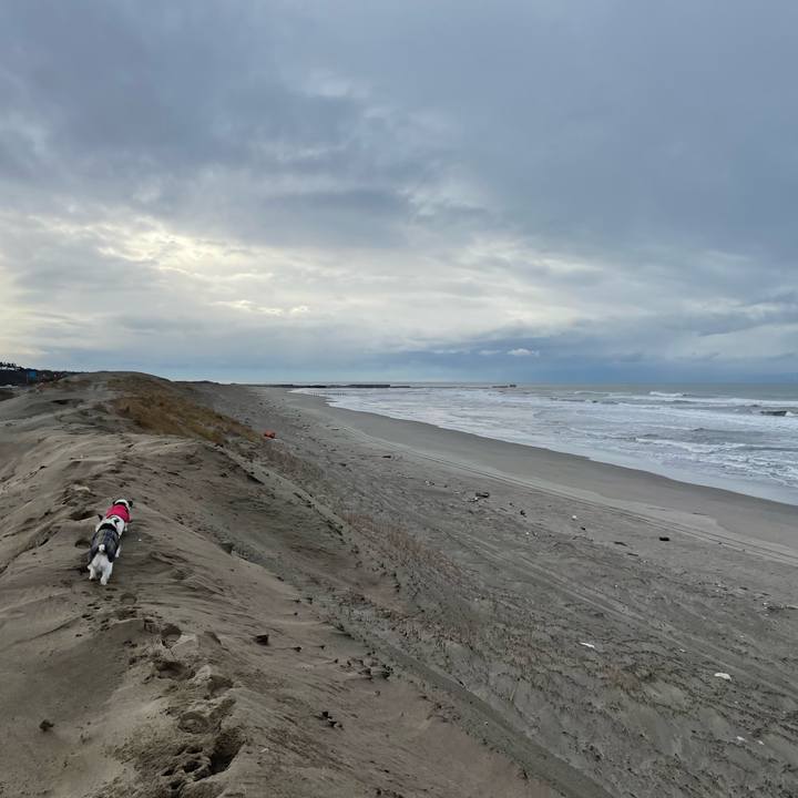 1d15b1c5 f601 46c1 ae92 661de64cce15 1702971746981