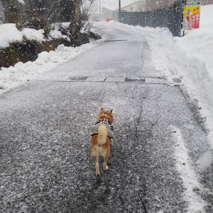 1d15c07d d4d3 417c b49f f18f792653a7 1735274378239