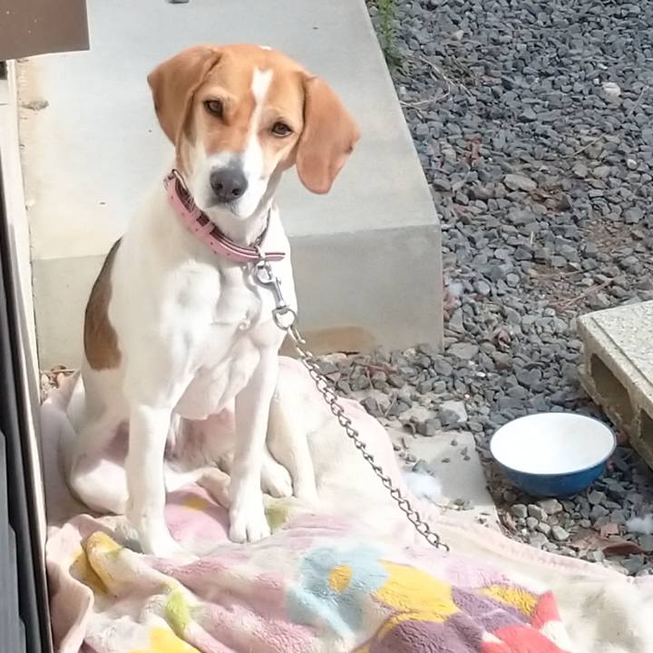 1d15cce5 f14e 4449 9fba adbb8bd64e46 1580436715963