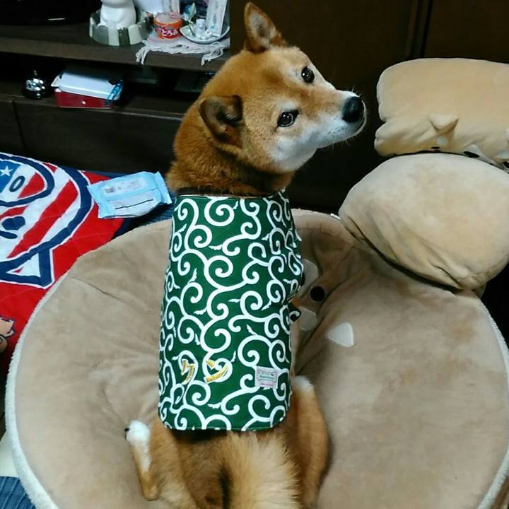 1d15d756 29b1 45e4 ae72 18a5c5b27d8e 1562595209886