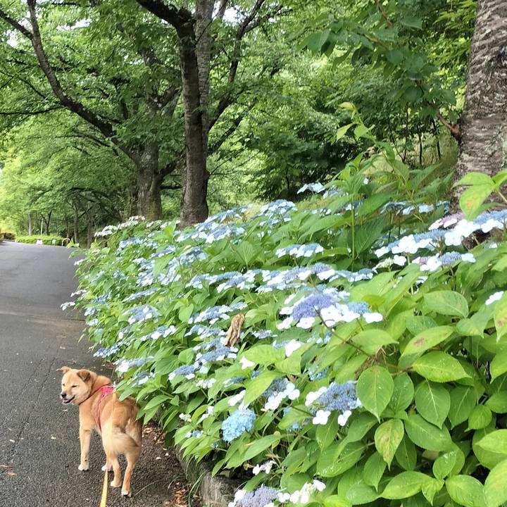 1d15ef36 81c5 4f3c b8c4 129d10fd0be1 1750813767728