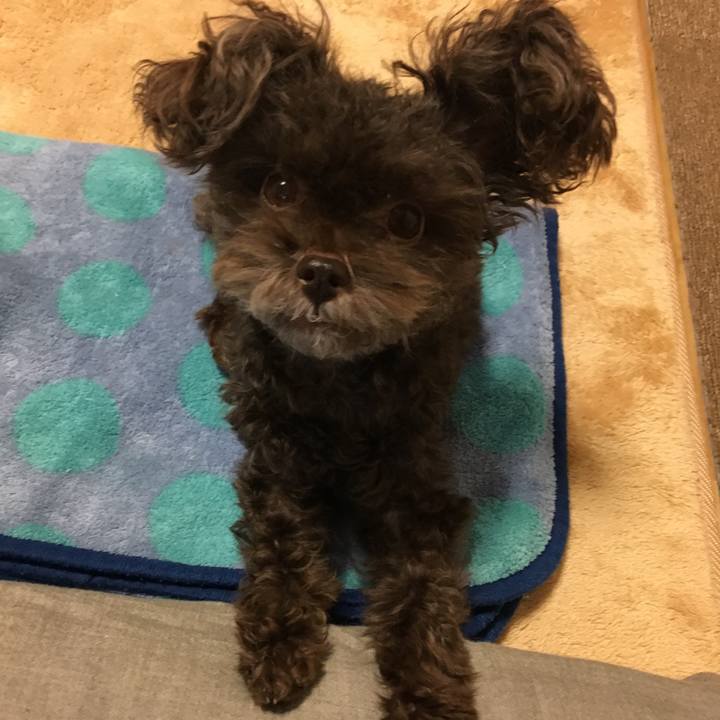 1d15f245 5ef5 40a5 91f8 a955ec960108 1507959672944