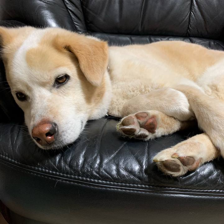 1d160d2f 12c7 43d1 abef 6db9130e6e29 1651940900332