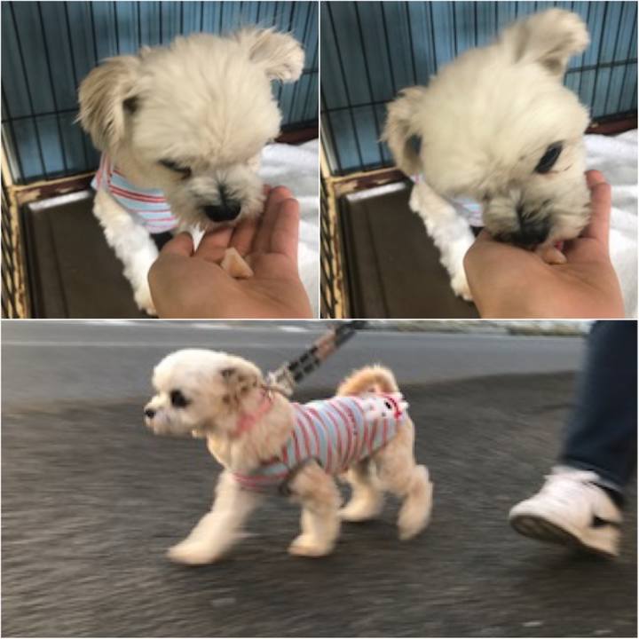 1d169d0c 240d 4893 a75a 9574174db58d 1575117413294