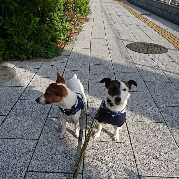 1d169e0e 29f6 42ac 93a5 4bb2a1fe7f36 1526422398213