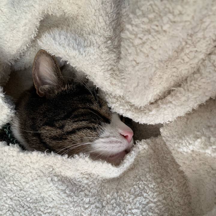 1d16a2ec cfde 44f3 af3e 16d6ff47f025 1546318217229