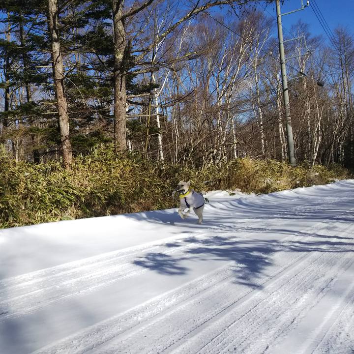 1d16c987 ee2d 437f 8d59 a21aabde710a 1514957812105