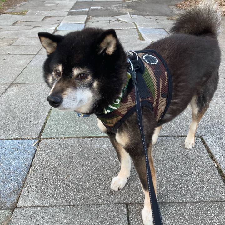 1d16ea23 58f7 4f07 9189 ab215db35ec4 1680773510712