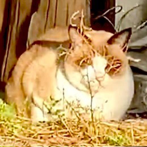 1d17374a f124 46da 8bc7 d04eccb43c27 1733988959222