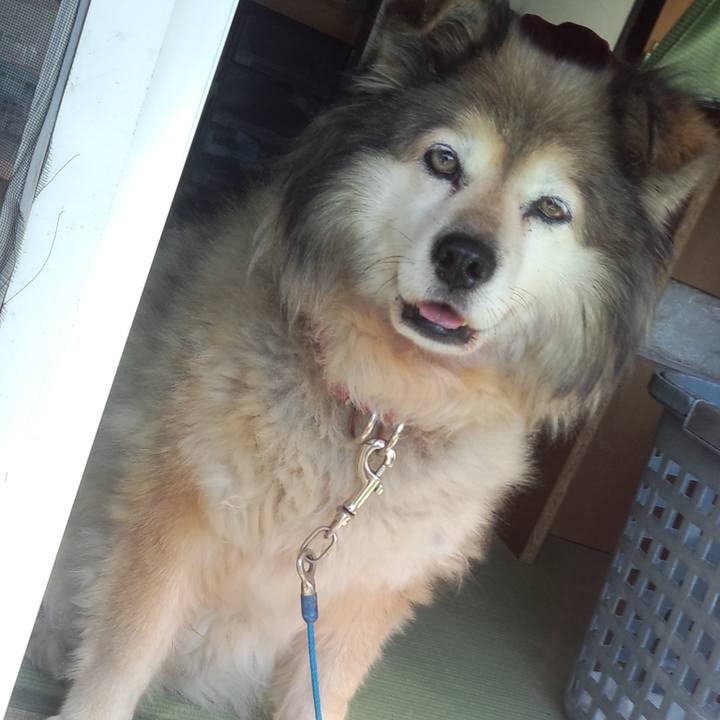 1d177a67 c41b 4fb0 83e7 79307b6e1cca 1565370832260