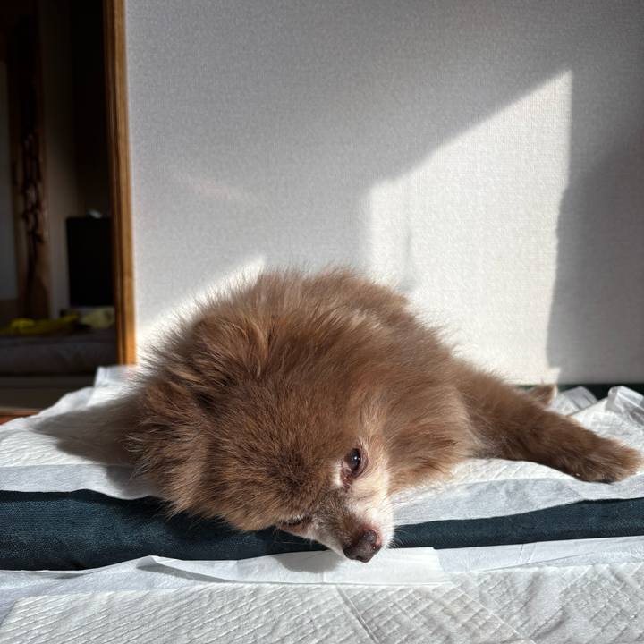 1d1781be 686b 4cb3 9b1b 16c3344c88c1 1765167047768