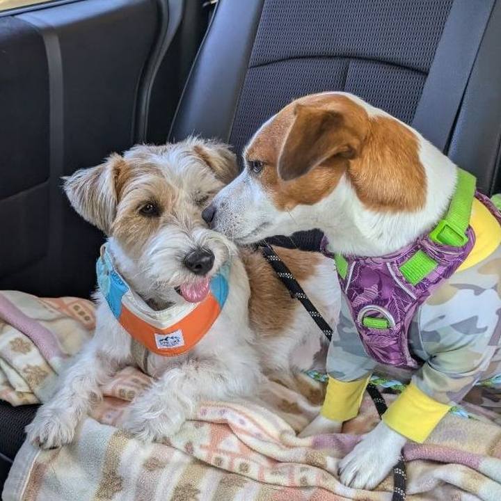 1d1797d7 1569 4728 9481 95385865fb75 1725860807009