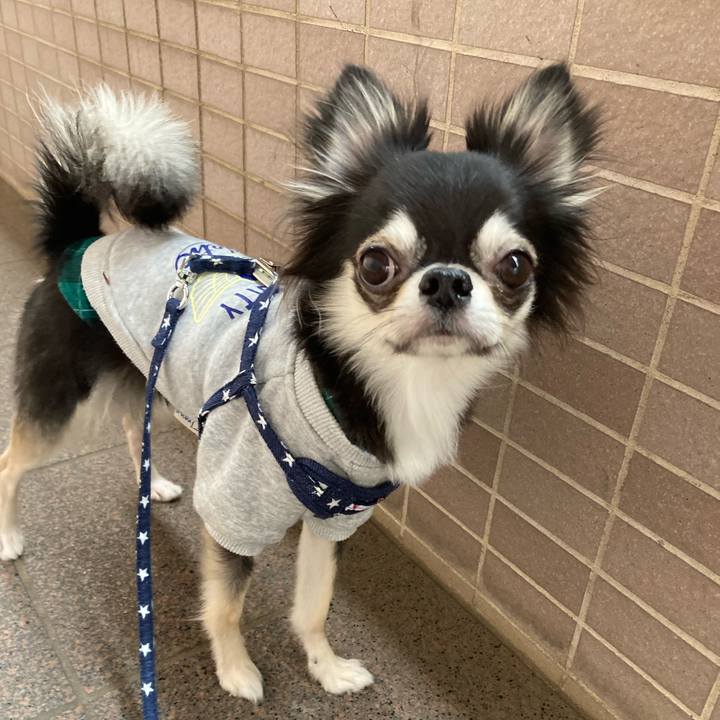 1d17ca1f bc4a 4c20 96d3 f8456db6199c 1639281444235