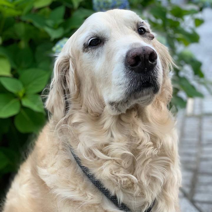 1d17e763 90bf 4652 bcb2 08abe0b5728a 1558520875817