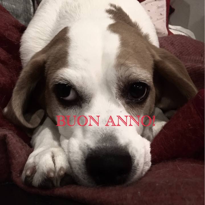 1d180894 3fb3 40bb 996e 4fc4a328b9c3 1514794058876