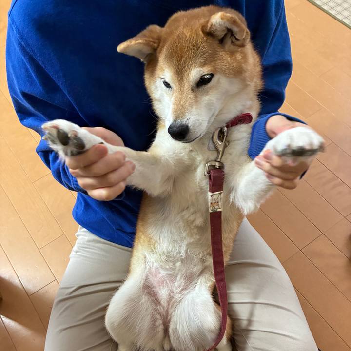 1d180c74 42c5 4ded 8603 3d0f7fadfba1 1768193258348