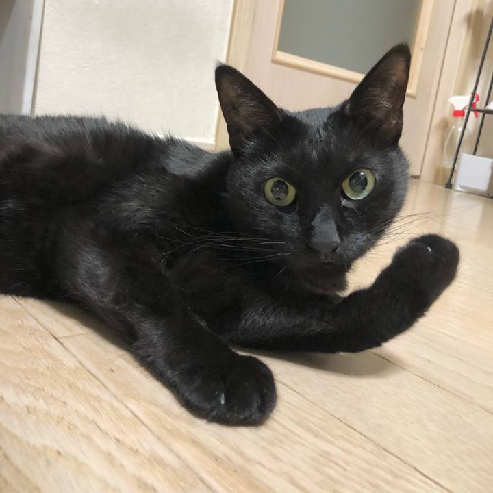 1d186274 fc67 4b35 8cf4 43c5142fbc54 1618490903158