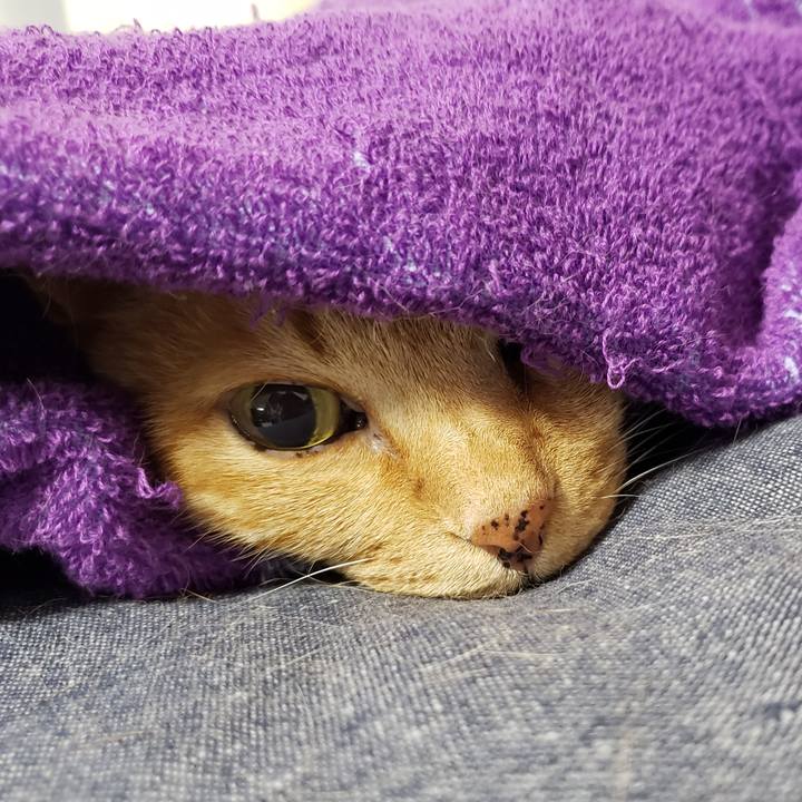 1d188206 9732 4574 944c 500b19da1431 1718880097425