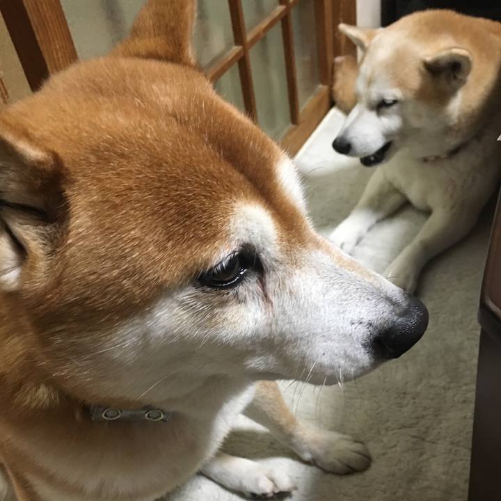 1d18ade5 4725 4293 be71 67ddebd6723a 1514959836241