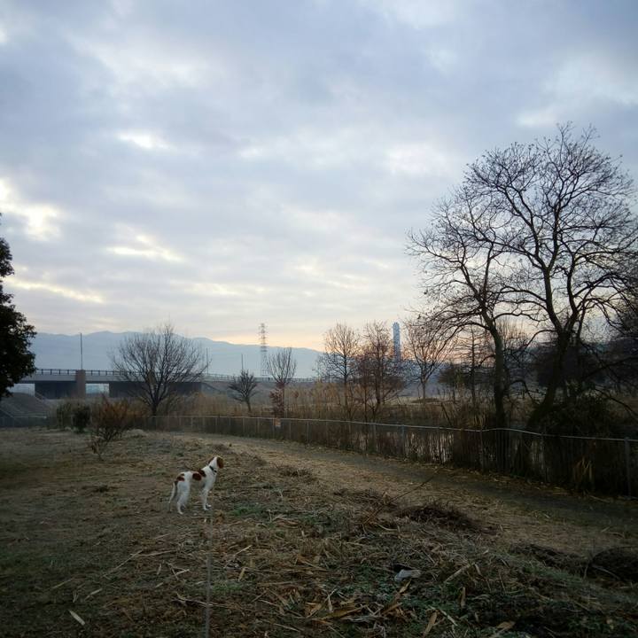 1d18b7ce 5f5e 493f b6d9 3f5640d8e3e2 1516062244774