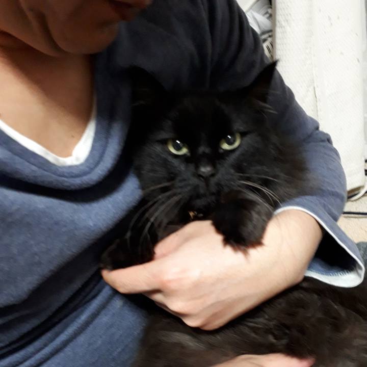 1d192a5f b7b7 4167 952c e50a556a44ea 1545909643599