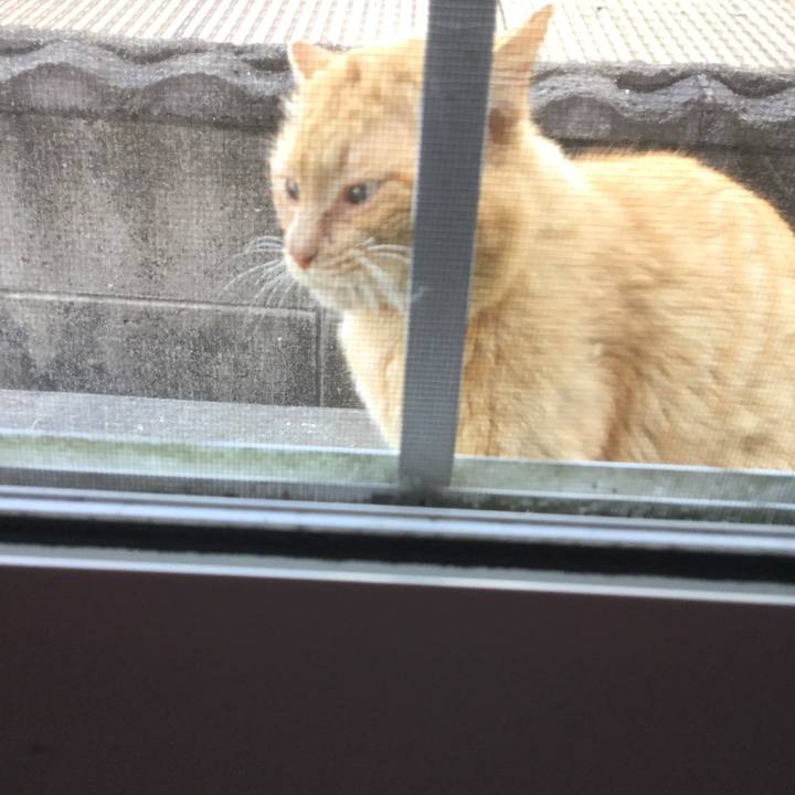 1d19359e a0aa 40d0 8faf a7b8c530abb2 1556953940512