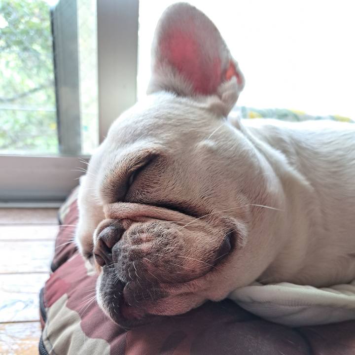 1d195c43 499d 4ac6 ab5f 99a824c4993e 1692694284065