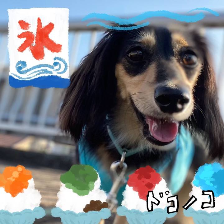 1d197722 ad60 4211 8918 1da34ca3f9f4 1723526154719