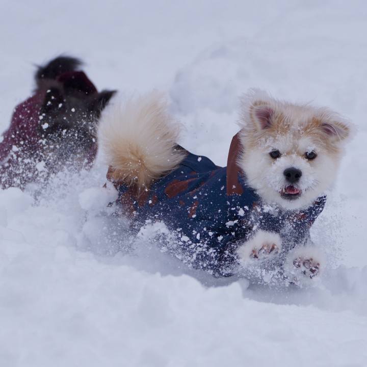 1d19784b f94c 40cd 98be cfe5b8024eac 1767434391263