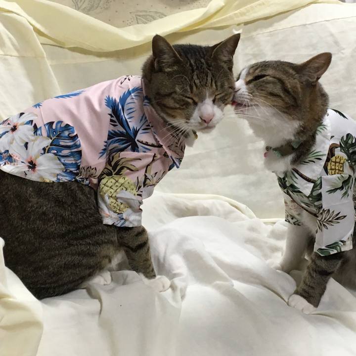 1d19afd6 f419 4851 8348 76a0a4eedb9a 1694447898381