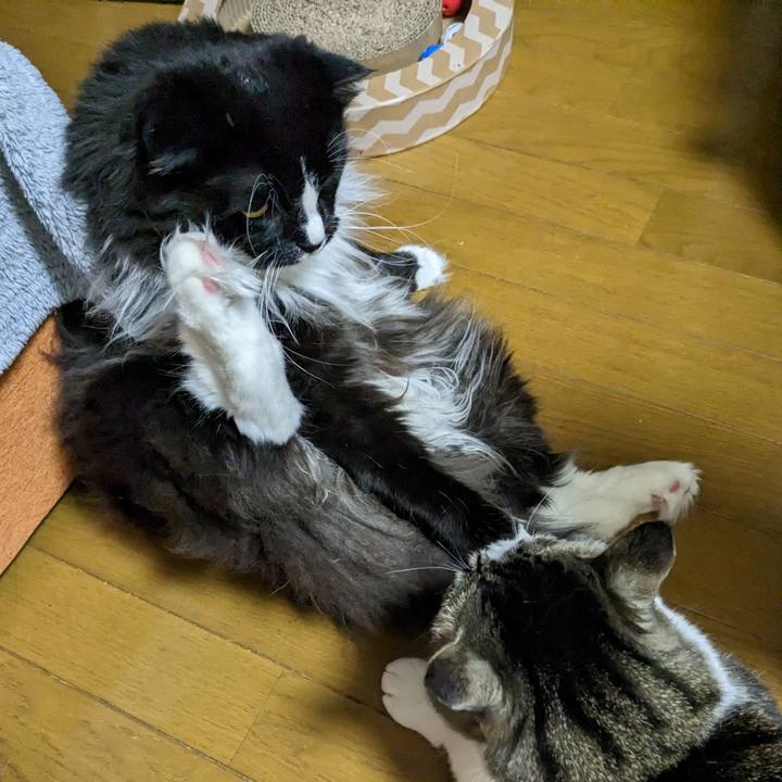 1d19c578 71c9 4217 859d 970ba8e4818b 1678833879986