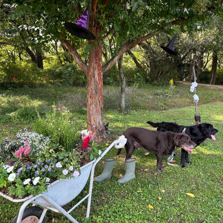 1d1a0a7f 5e3a 429b a1cc 212992f0e066 1760614057129