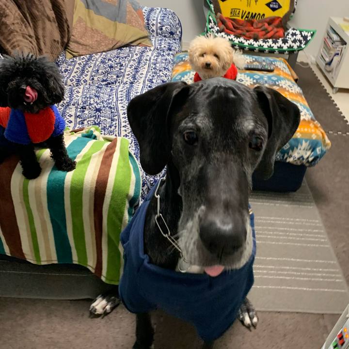 1d1a33a0 ccef 4962 ac0e e25b6809b040 1577227041907