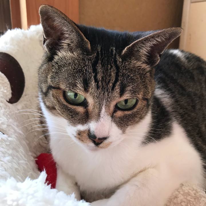 1d1a7a93 3a6d 4e37 94fe 02b8518a0fcf 1522373348311