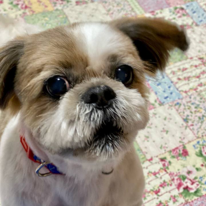 1d1a800b 9178 4960 ad71 73a263564360 1625136782289