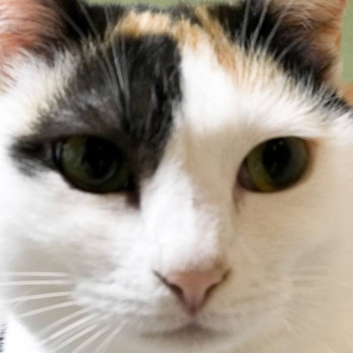 1d1aa711 46b8 4810 a71e 5c031ce41f81 1526729251978