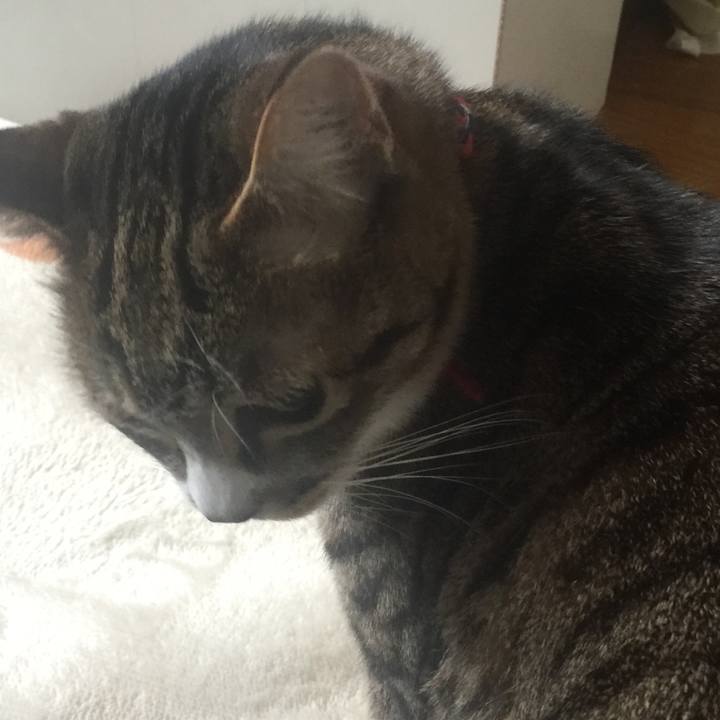 1d1ab459 c7af 4fe0 99eb 617b12f7aad4 1553306048569