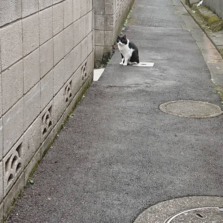 1d1ae929 22da 4775 afe2 d571be9d9582 1695857006794