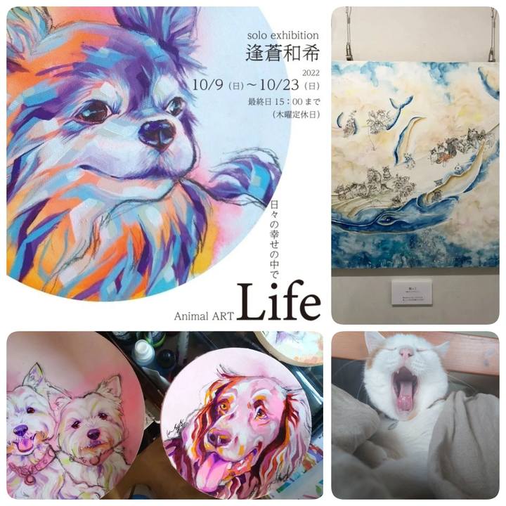 1d1ae987 6f62 4342 a096 dcea356b9ca4 1664457882294
