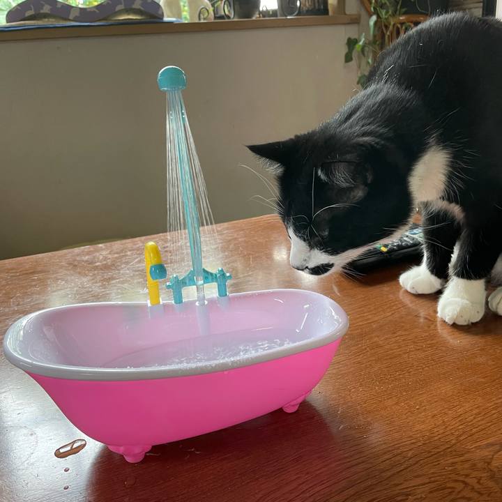 1d1b30da e0ee 43b6 926b 9a5a2f0387bf 1655710841393