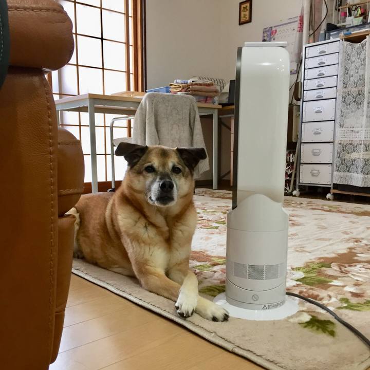 1d1b7298 a605 4a5e b7be 4c645d7f8244 1582802937740