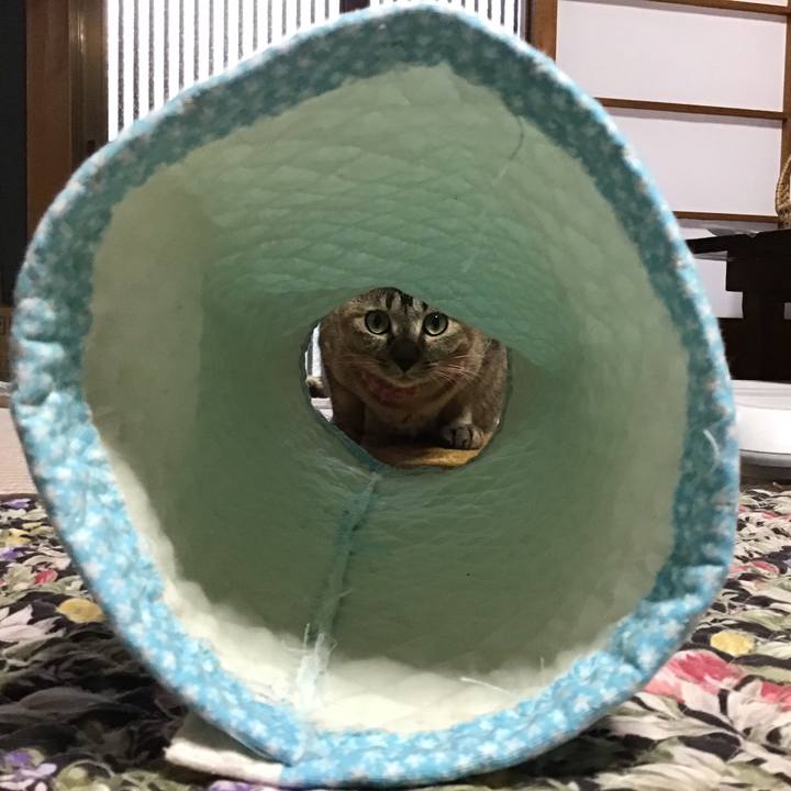 1d1b9581 7485 4dfe 9112 87f1493a8ab6 1592554847769