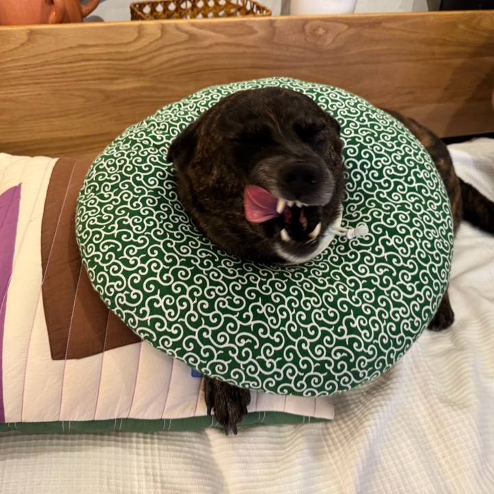 1d1b9ce6 3c94 43f9 ad0c 5ee6064f1e7e 1762050330780