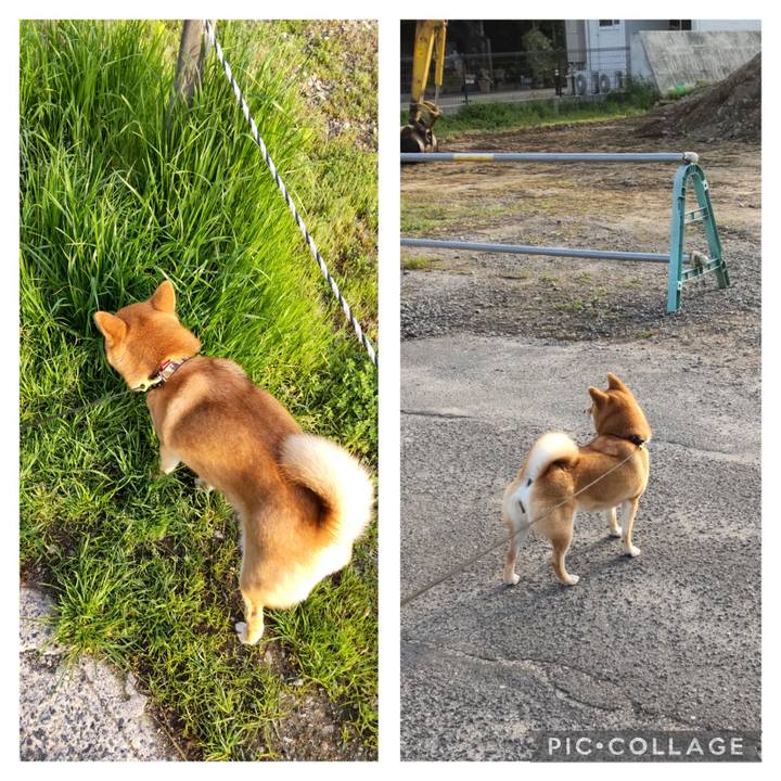 1d1bbbc4 9862 4eaf 8665 81875ab76f62 1681770144806