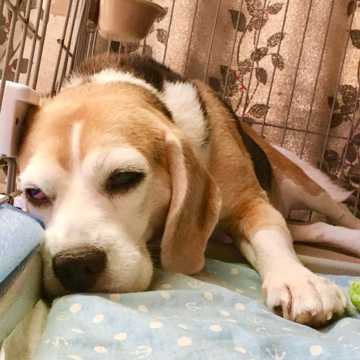 1d1bc08e d7e2 498b b2f8 0cbcc82c1521 1755817163811