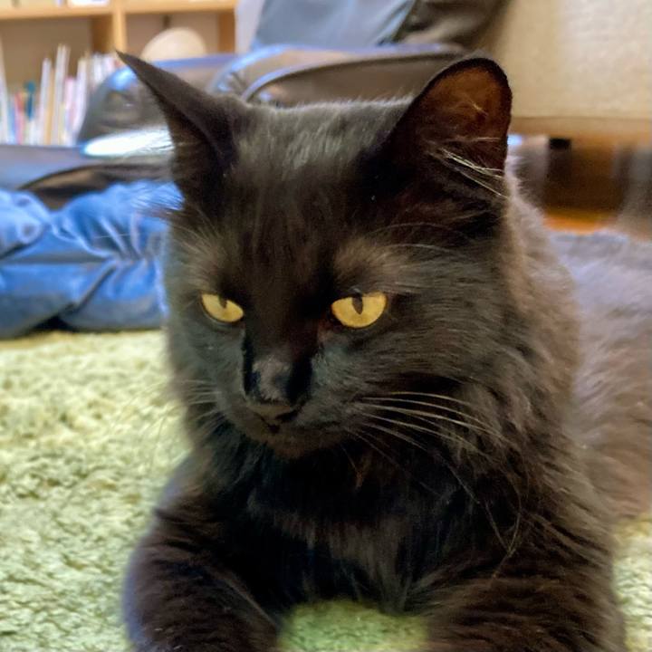 1d1be2e5 87c9 424e 9ffc 5cfbf91ae2a7 1753149262561