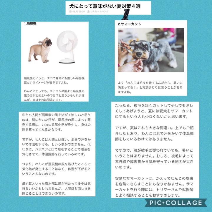 1d1be528 bb16 424a b664 ce27e3f3b528 1534494495102