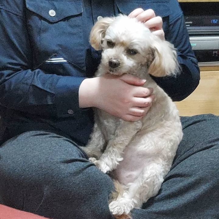 1d1c19f7 5b52 4040 8a19 34db39fa8abc 1670154653723