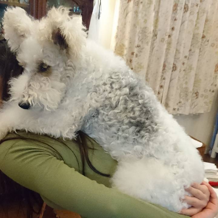 1d1c2027 5c55 4ff9 8dfb 9ee3b4cbd644 1509529113801