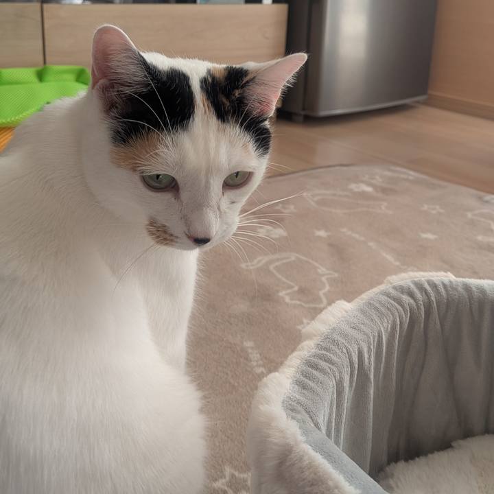 1d1c31f7 0b26 4391 b284 bb578aa3811a 1762909686429